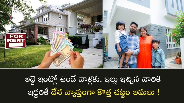 Rented house